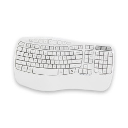 Rexus Ercho KL280 - White